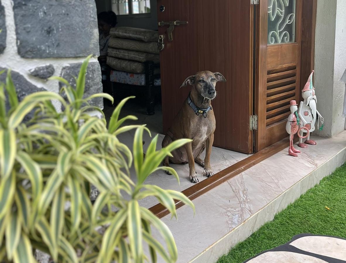 Angel House -Your Private Pet Friendly Haven Lonavla Zewnętrze zdjęcie