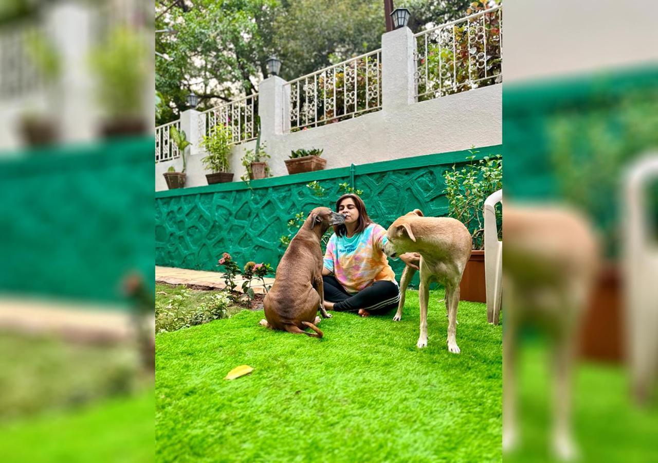 Angel House -Your Private Pet Friendly Haven Lonavla Zewnętrze zdjęcie